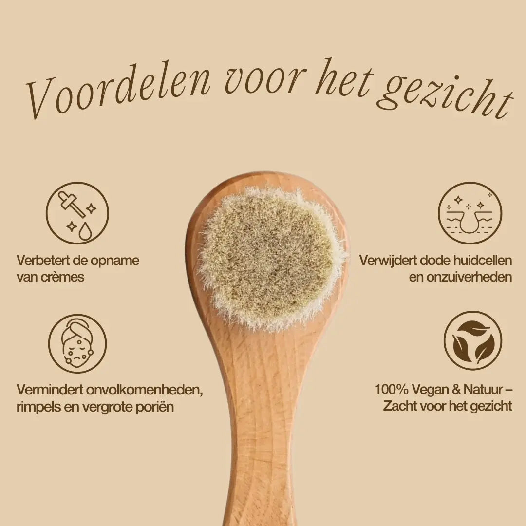 nl-photo-facial brush