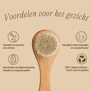 nl-photo-facial brush